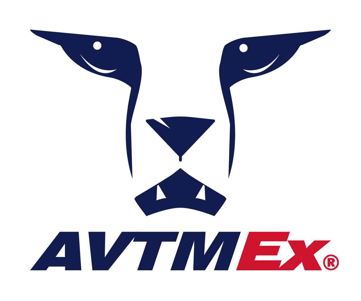 Registro de Marcas Nuevas ®